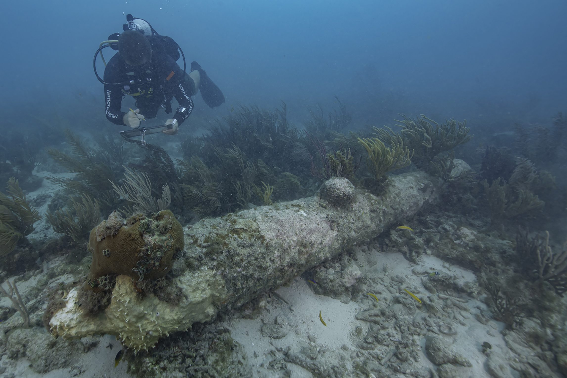 У берегов Флориды обнаружили обломки затонувшего британского корабля XVII века
