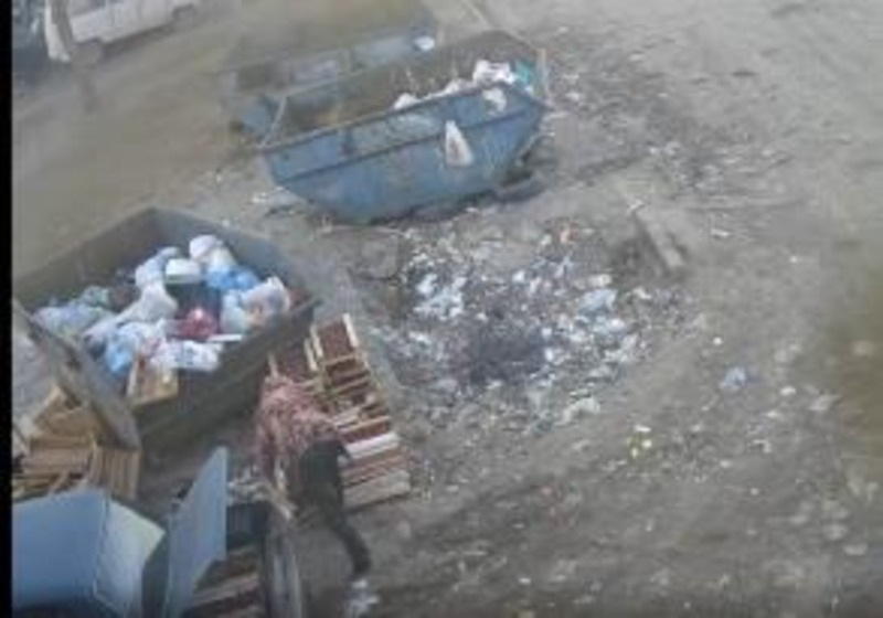 Астраханцу придется заплатить крупный штраф за сброс мусора в неположенном месте