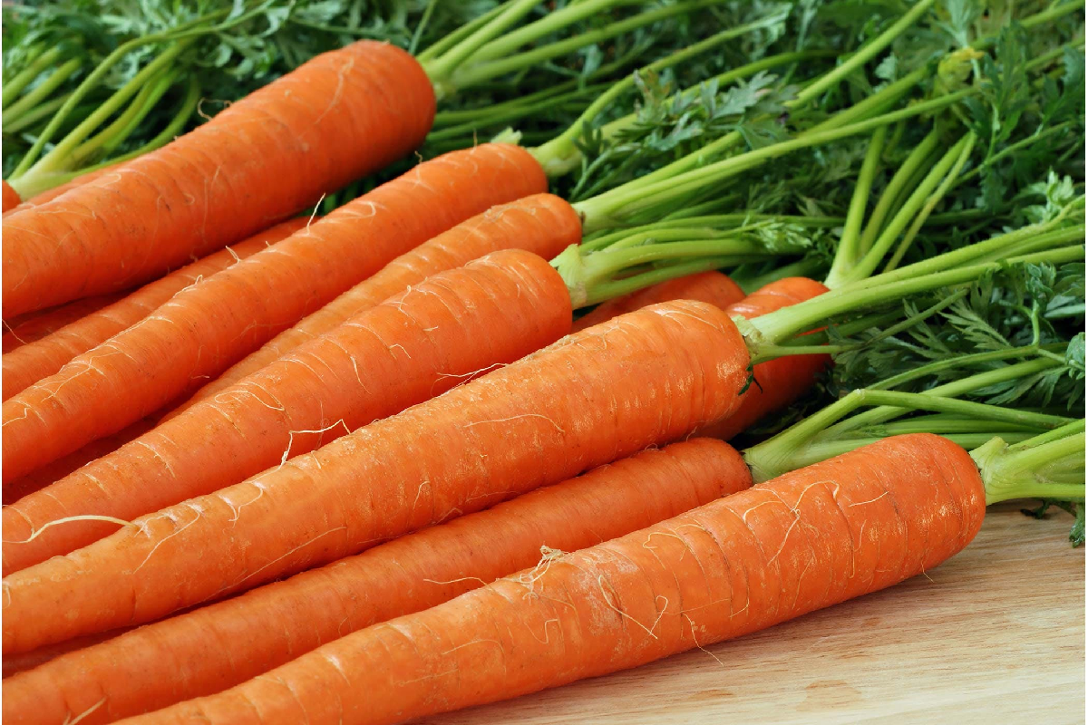 Россельхознадзор Бурятии нашел в продаже семена моркови с амброзией