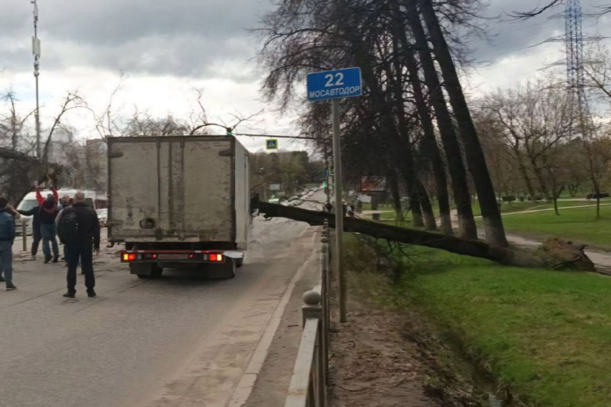 В Москве наблюдаются сильные порывы ветра