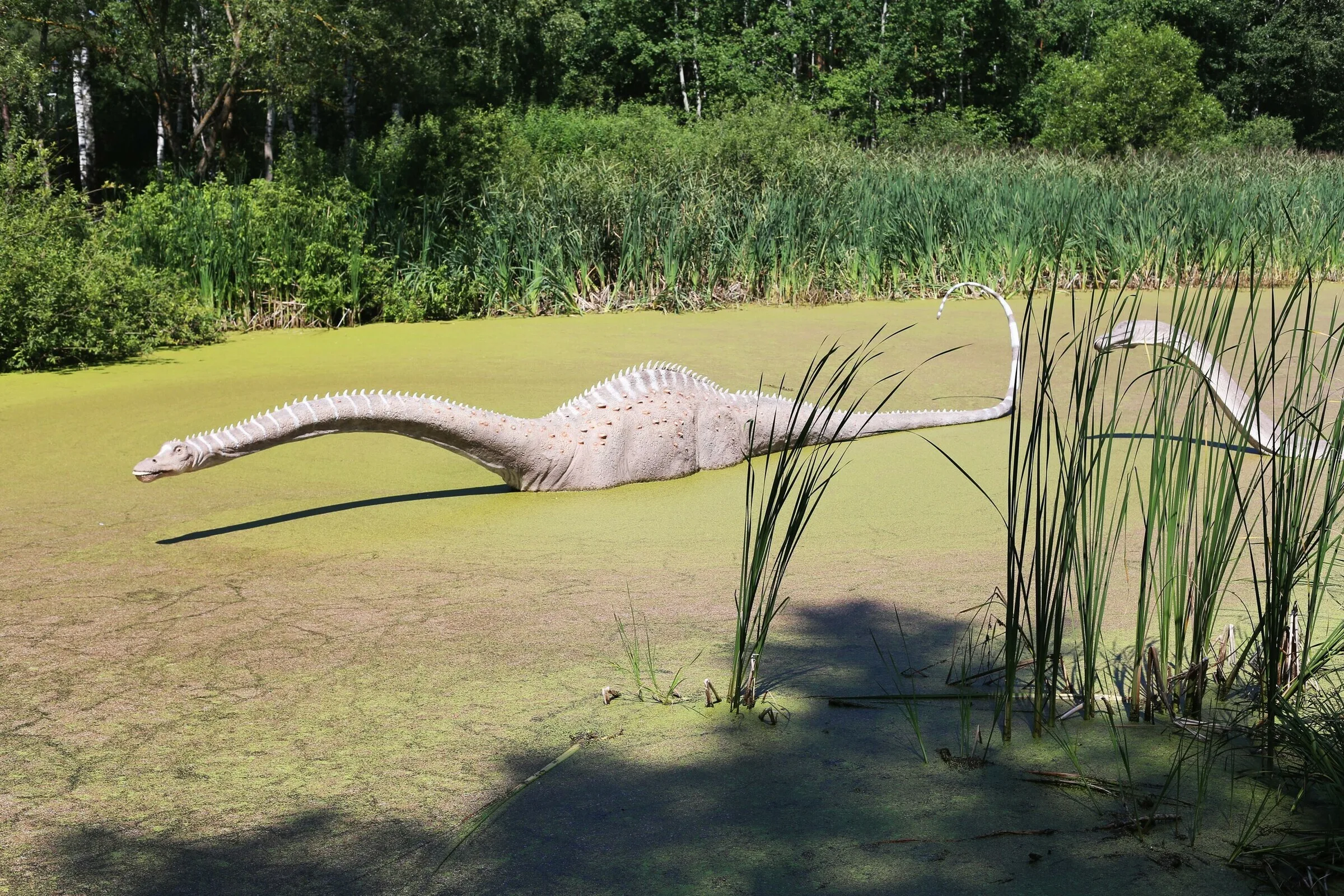 «Белгородский парк динозавров» снова понес убытки