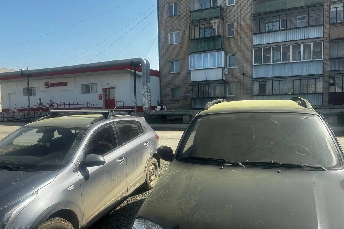 Жителей нескольких районов Челябинской области напугал зелёный налет на домах и машинах