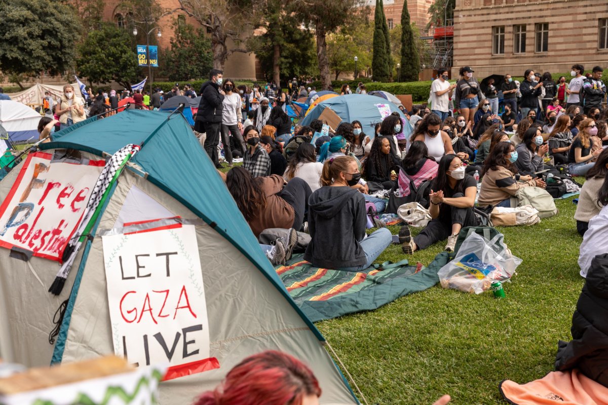 В США начали отстранять студентов из-за поддержки Палестины