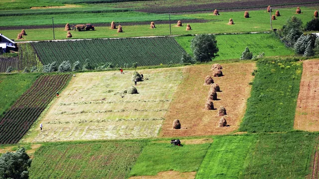 Власти В Молдавии объяснили последствия закрытия местного рынка для защиты фермеров