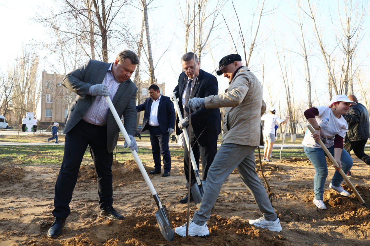В Астраханской области высадили первые 8 тысяч деревьев в рамках акции «Сад памяти»