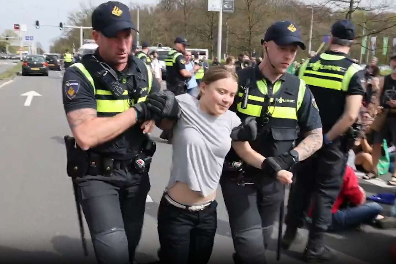 Голландская полиция дважды задерживала Грету Тунберг на акции протеста в Гааге