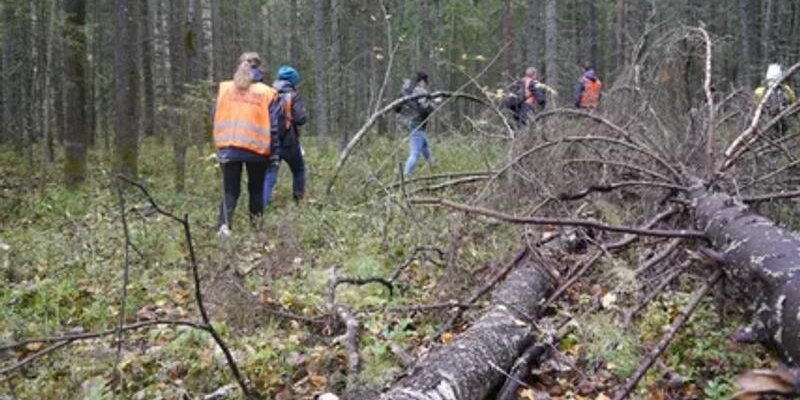 В Приморье волонтеры спасли 92-летнюю бабушку, двое суток пролежавшую на холодной земле в лесу