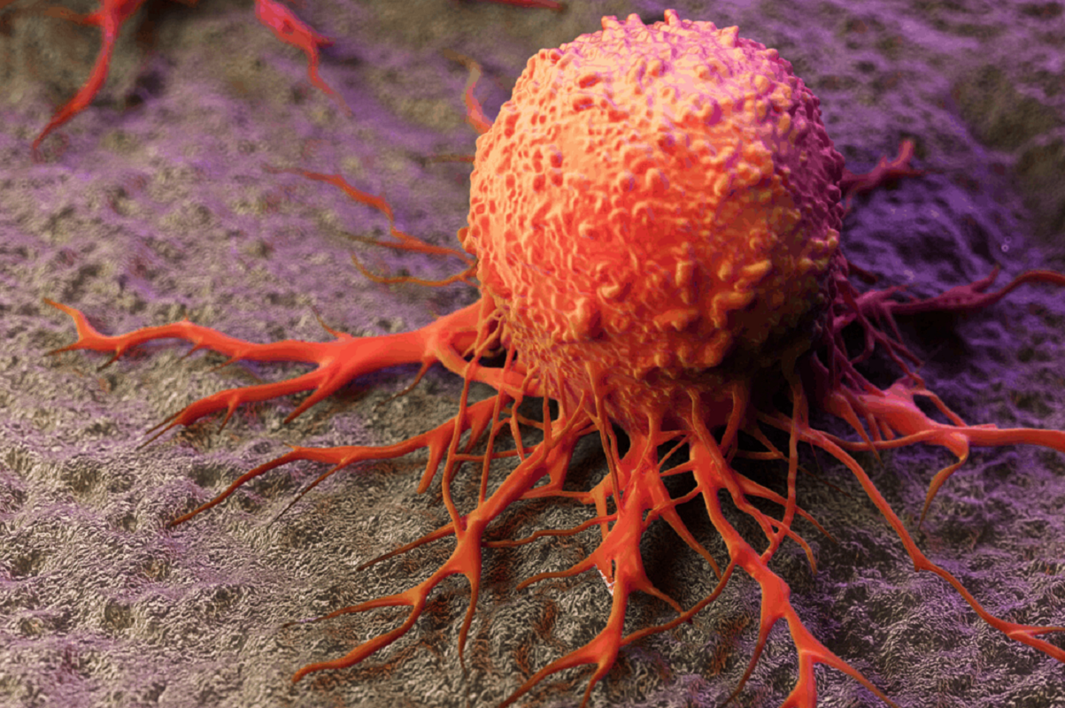 Ученые БФУ и НИТУ МИСИС создали безопасные для здоровья наночастицы, ликвидирующие раковые клетки