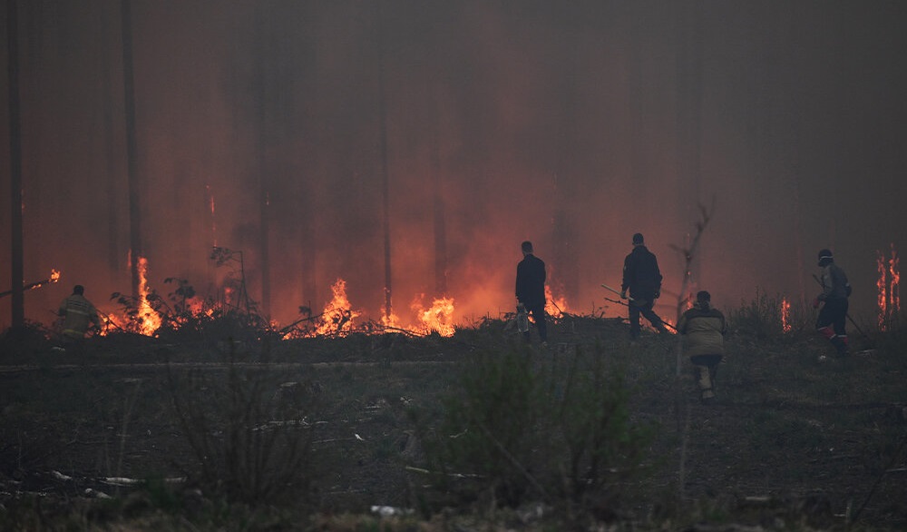 За сутки в 19 регионах России лесопожарные службы и добровольцы тушили природные возгорания