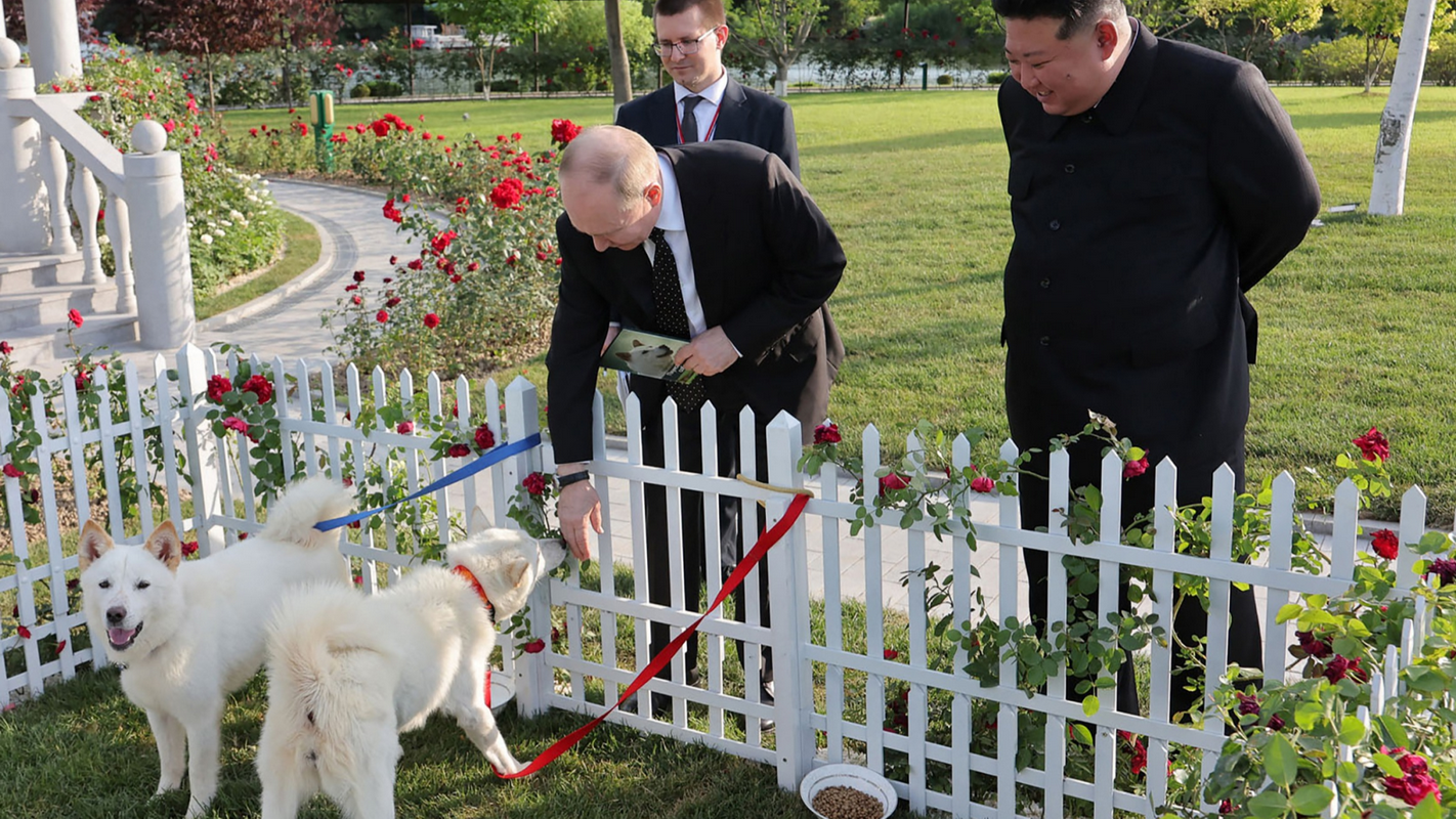 Это не просто собаки». Ким Чен Ын подарил Путину щенков редкой породы