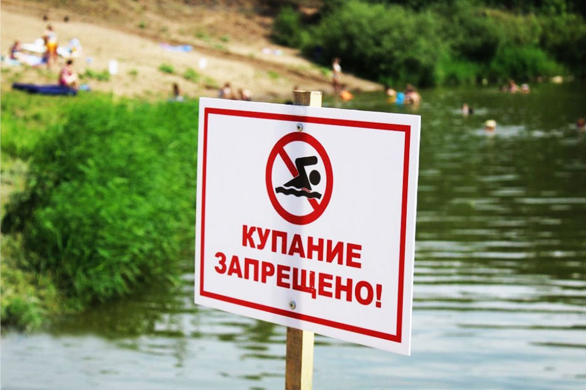 Московский Роспотребнадзор поставил запрет на купание на пляже «Динамо» и Головинских прудах