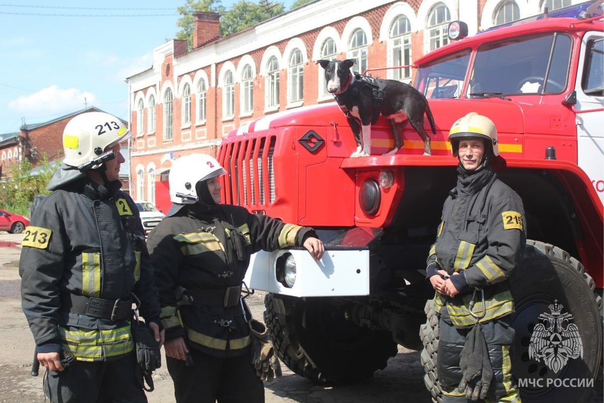 В Костромской области изъяли 110 тысяч немаркированных пачек сигарет