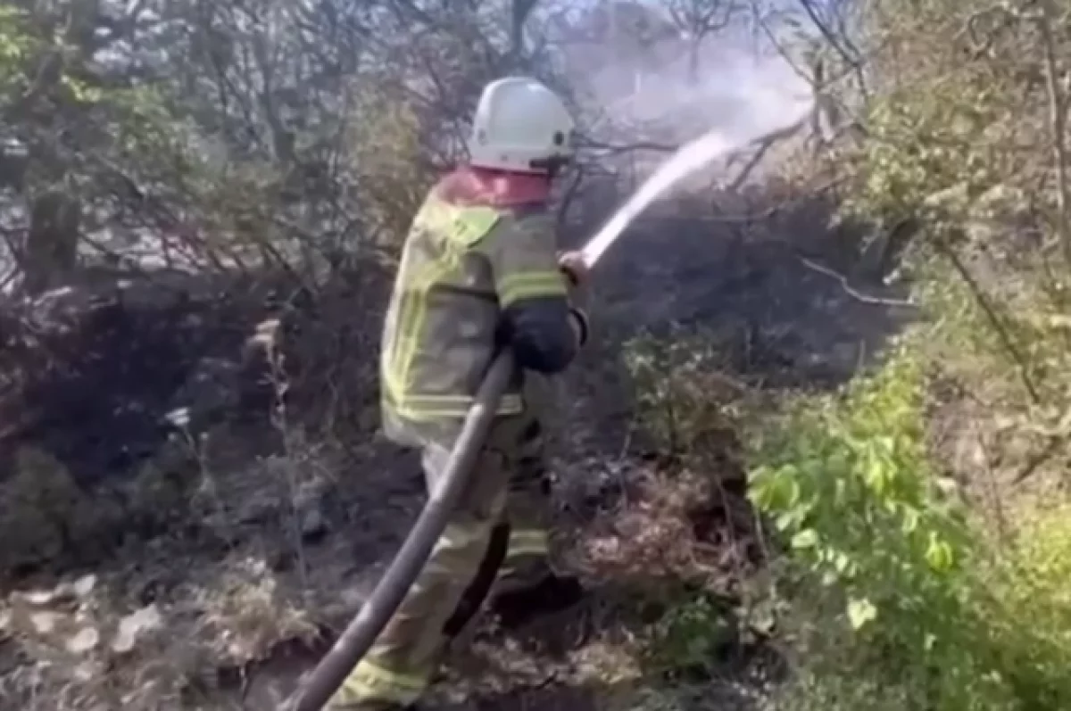 На Кубани из-за лесного пожара эвакуируют базы отдыха