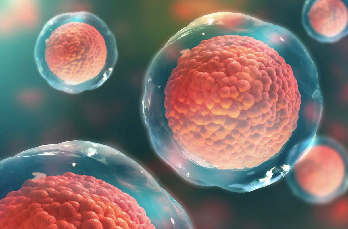 В МФТИ научились создавать биоматериалы для клеточно-заместительной терапии в рамках универсального метода