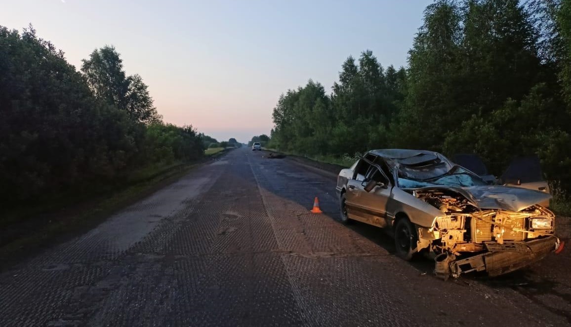 На костромской трассе погиб 19-летний водитель при столкновении автомобиля с лосем