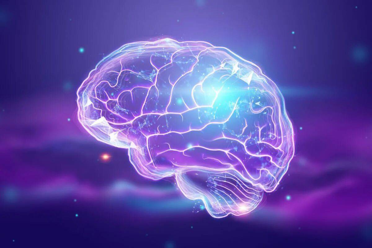 Ученые рассказали правду о работе мозга