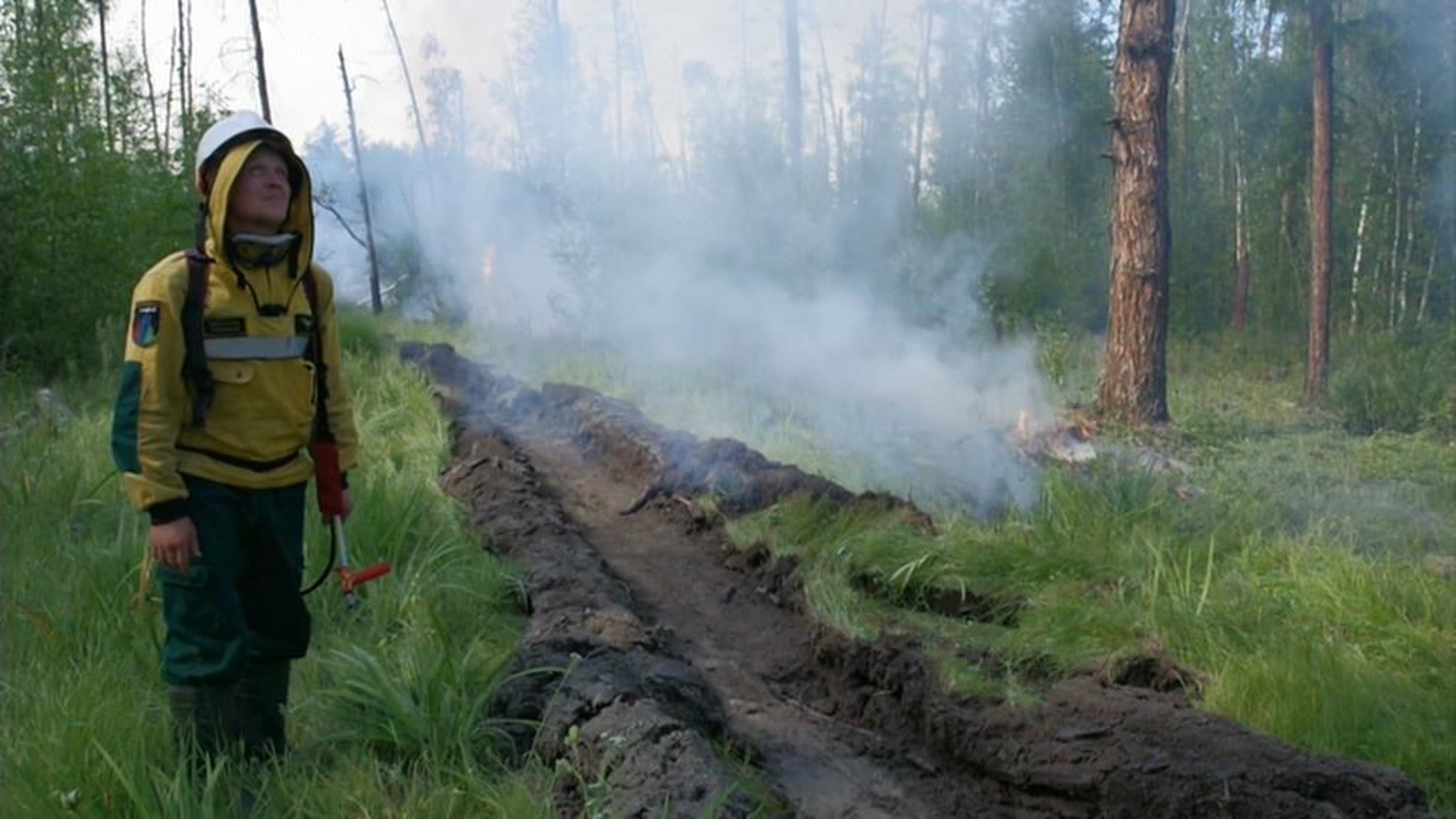 В Мурманской области площадь лесных пожаров сократилась в 5 раз по сравнению с прошлым годом
