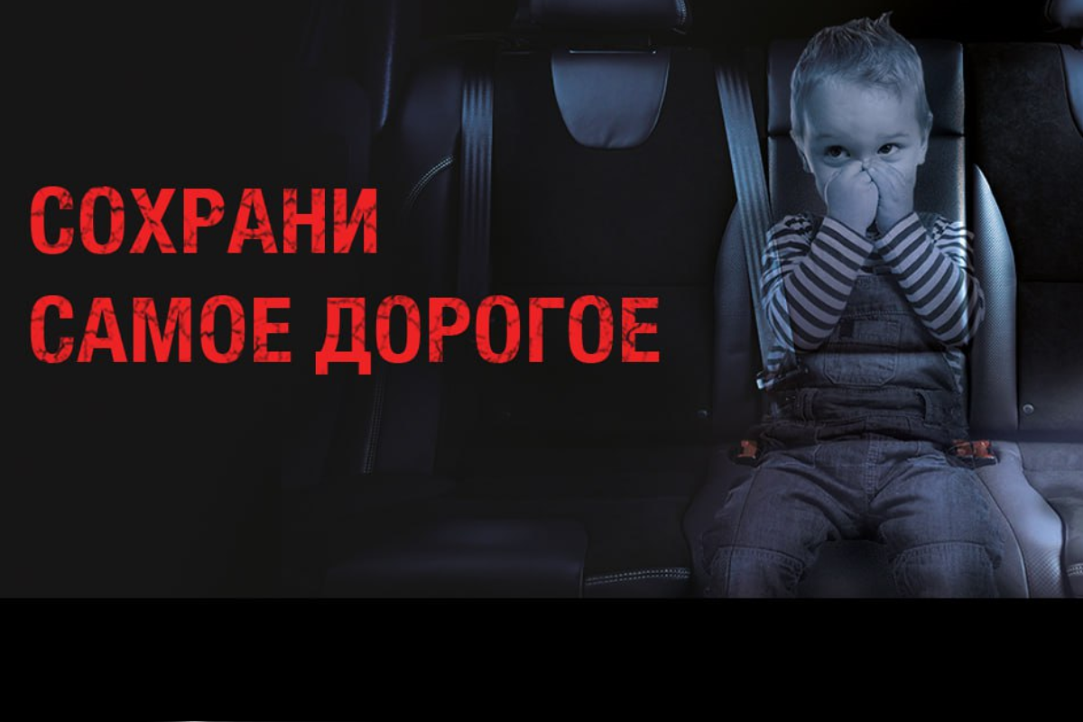 В пятницу водителей Пушкина проверят на соблюдение правил перевозки детей