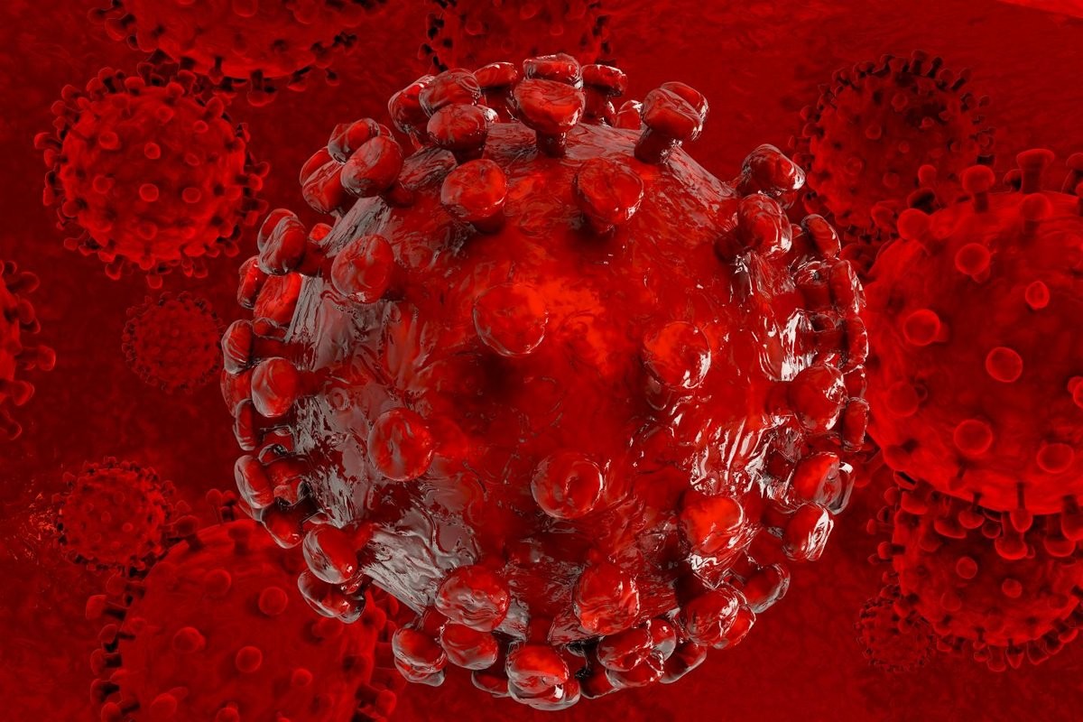 Учёные нашли способ излечить ВИЧ: революционный метод может заменить лекарства