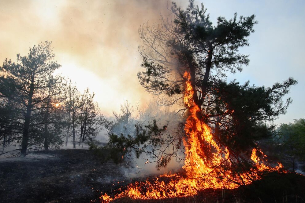 Ульяновскую область накроет пожарная опасность 5 класса