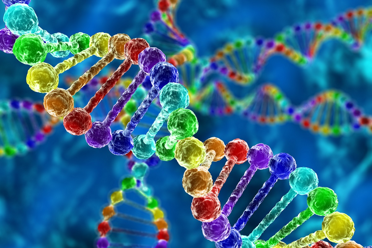 Вариация одного гена ОНП повышает шанс на полное излечение от БАС в 12 раз
