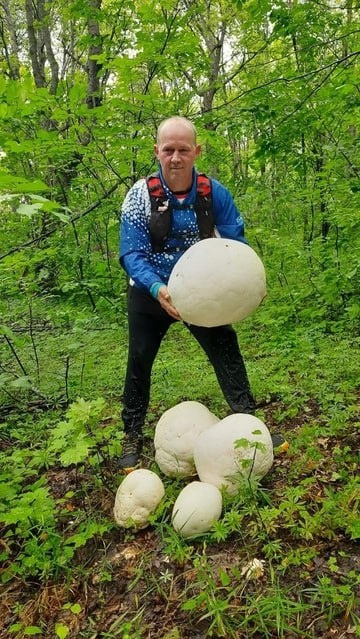 Житель Башкирии нашел гигантские грибы весом более 20 кг во время пробежки
