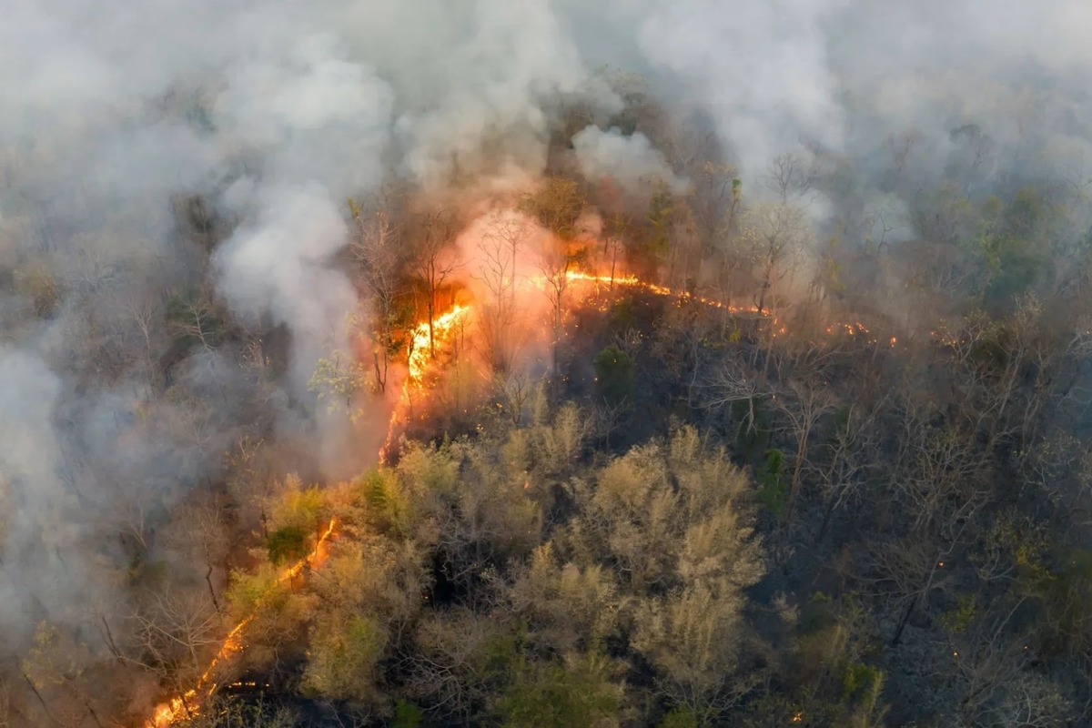 В Бурятии власти ввели режим ЧС из-за лесных пожаров