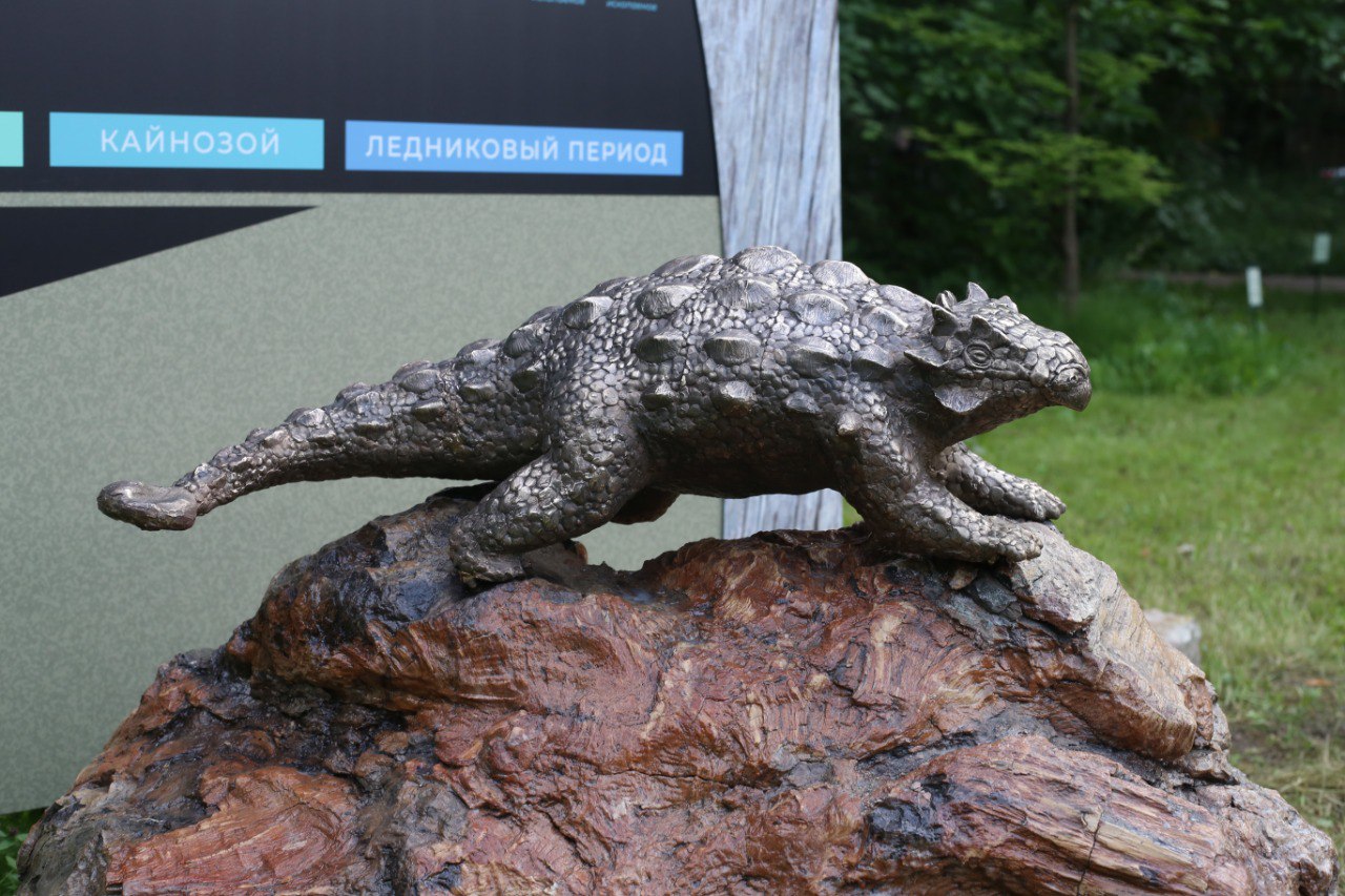 Увидеть чукотского анкилозавра можно в парке юрского периода в Санкт-Петербурге