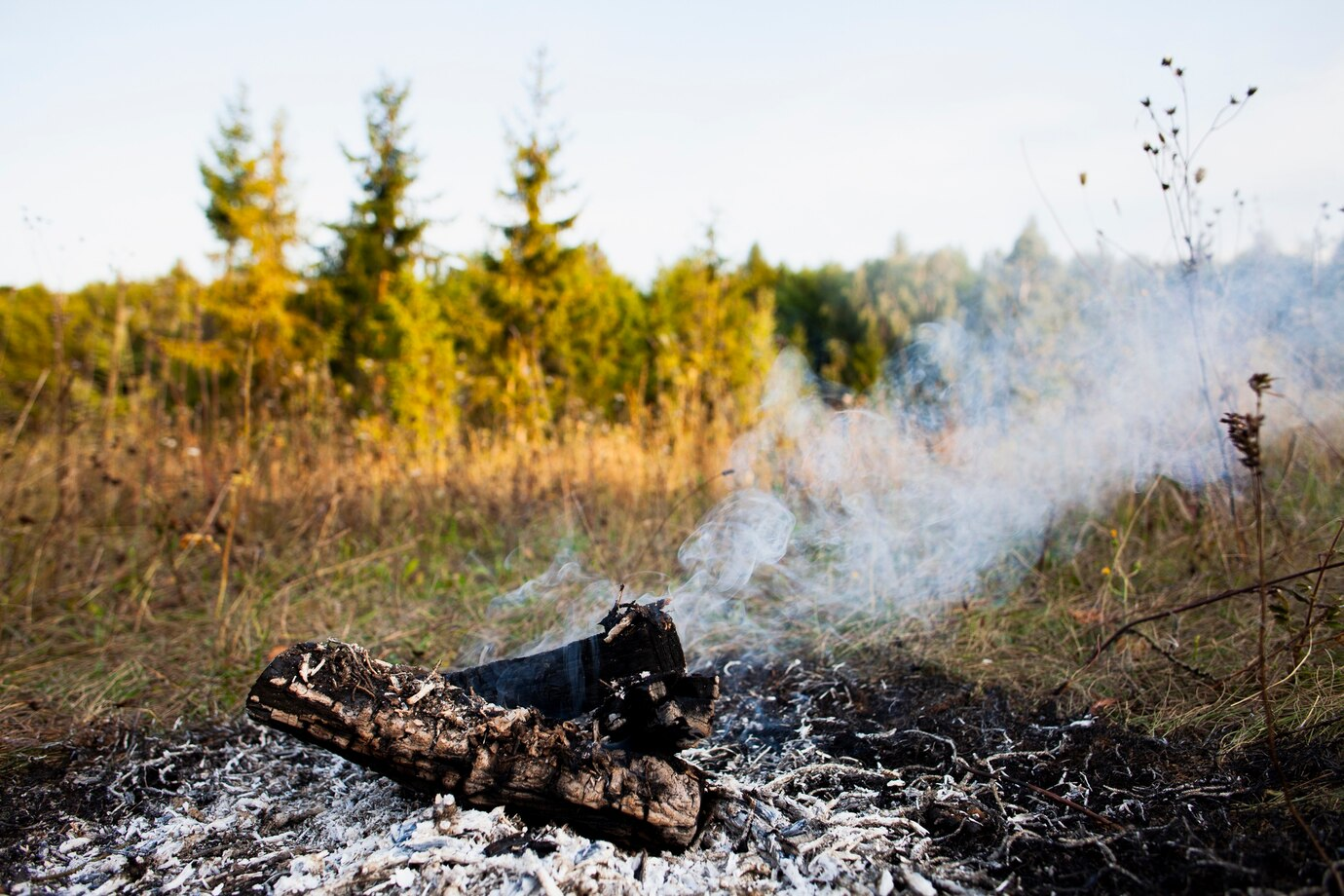 Стало известно, насколько увеличилась площадь лесного пожара на Кубани