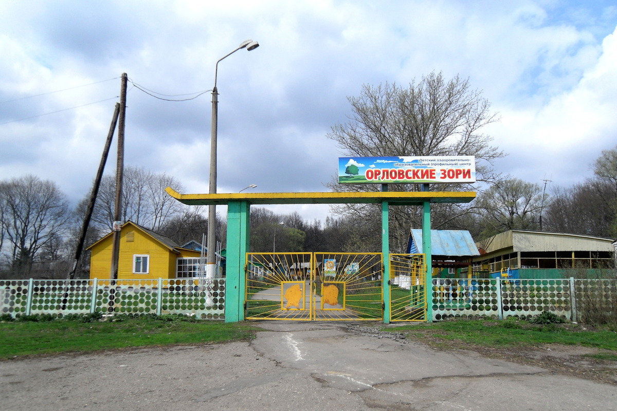 Детские лагеря Орловской области в 2024 году готовы принять более 55 тысяч гостей