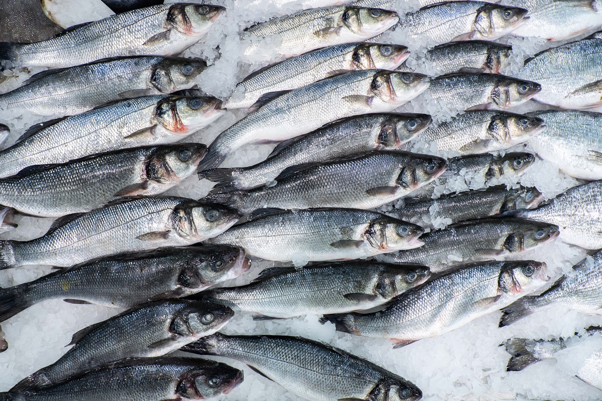 Страны Прибалтики требуют ввести ограничения на ввоз российской рыбы