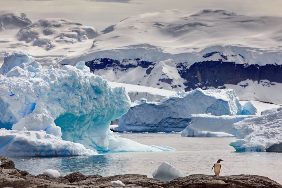 Повышение уровня моря может замедлиться благодаря Антарктиде и определенным условиям