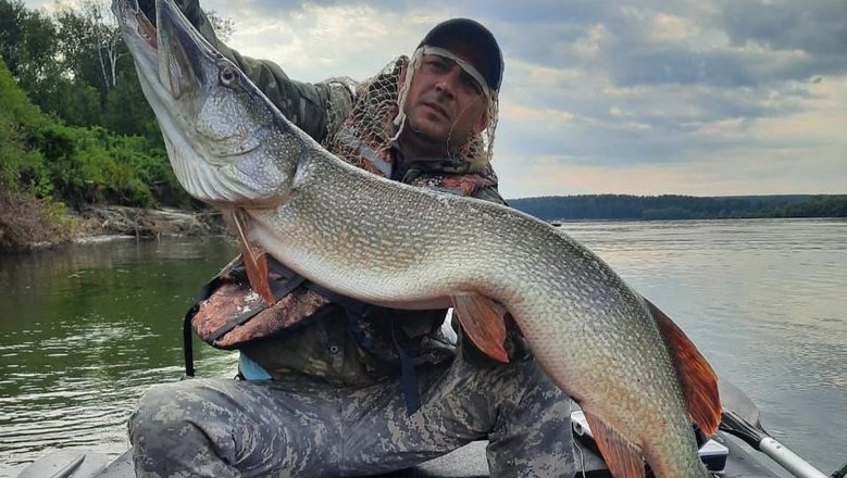 Житель Новосибирска привез домой с рыбалки гигантскую щуку весом 10 килограммов 300 граммов