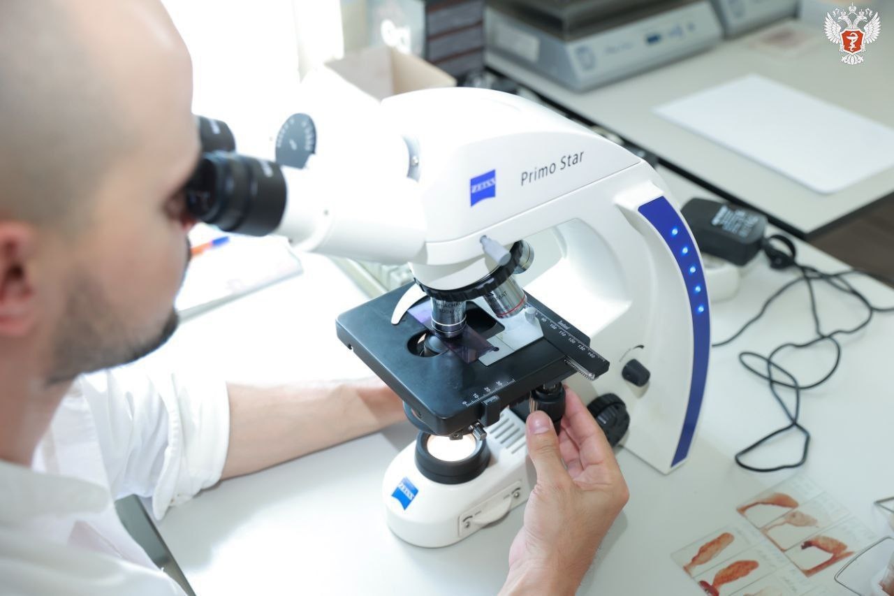 Минздрав РФ, Источник: minzdrav.gov.ru