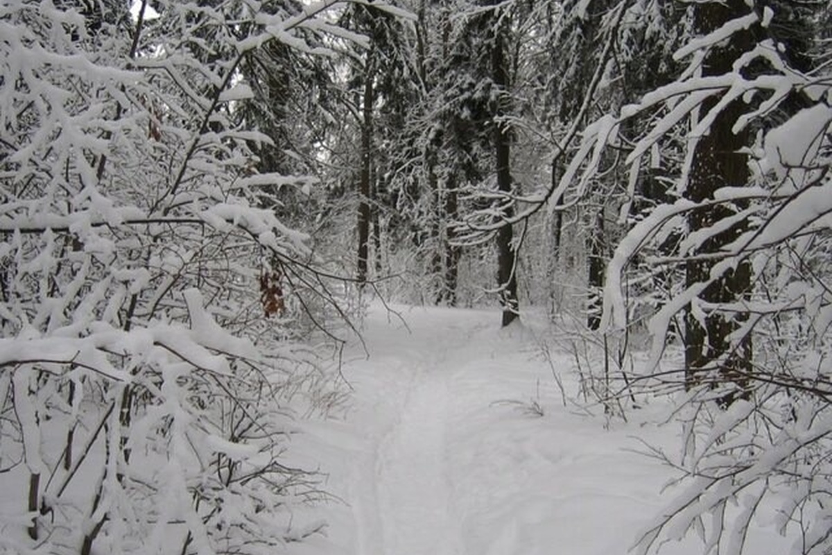 В Пермском крае пропала группа туристов