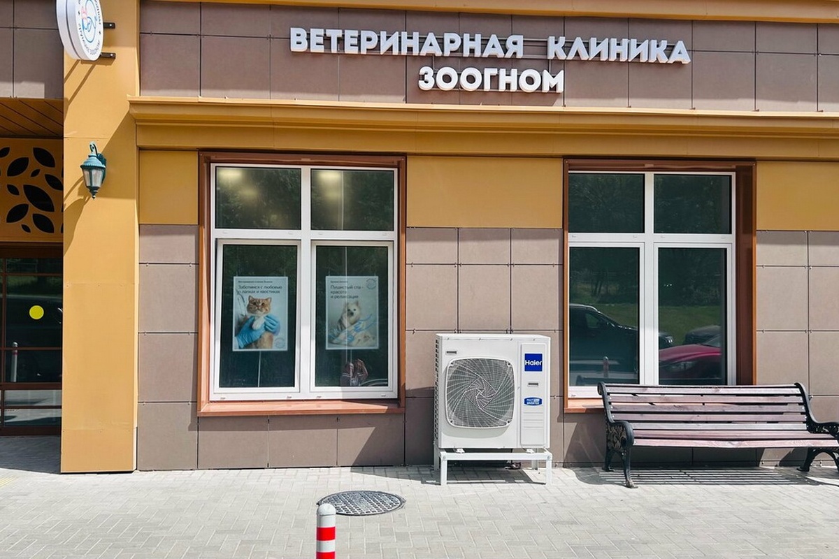 Когда пациент не может сказать, что болит: как в ветеринарных клиниках спасают жизни Когда пациент не может сказать, что болит: как в ветеринарных клиниках спасают жизни