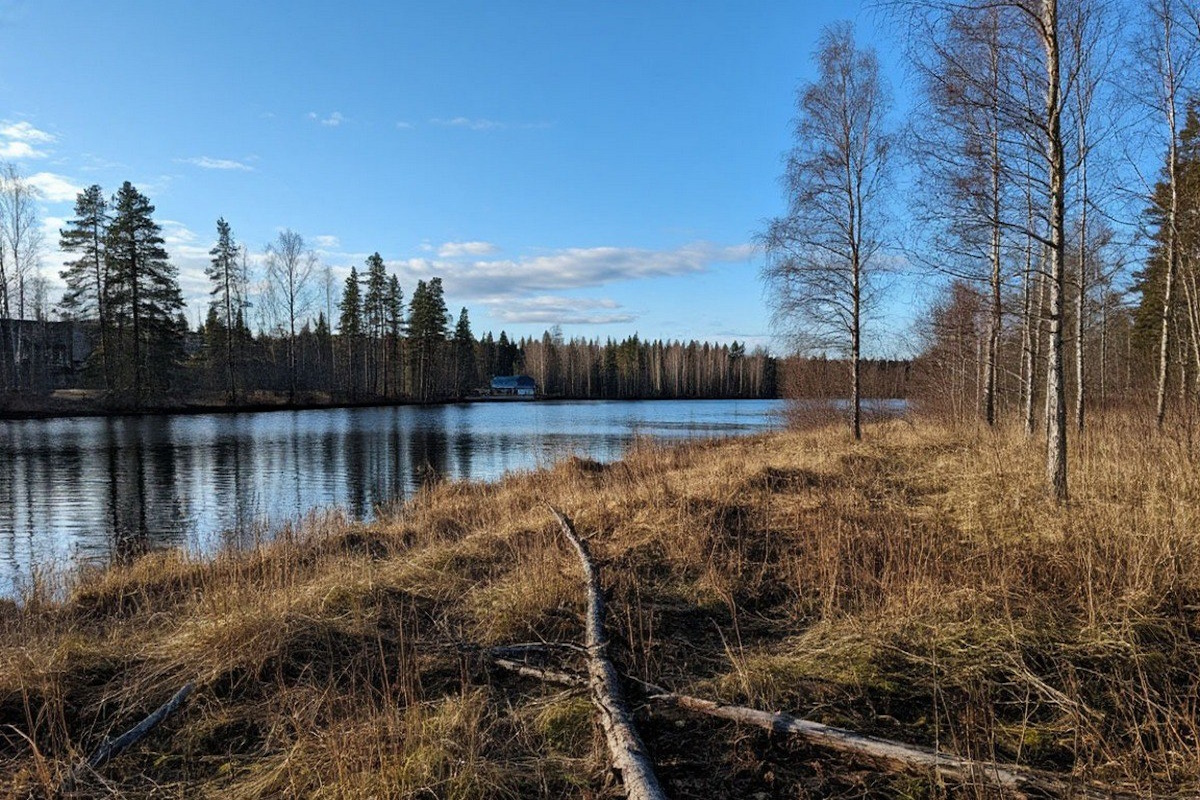 На Ямале компанию обязали выплатить 724 тысячи рублей за незаконную вырубку леса На Ямале компанию обязали выплатить 724 тысячи рублей за незаконную вырубку леса