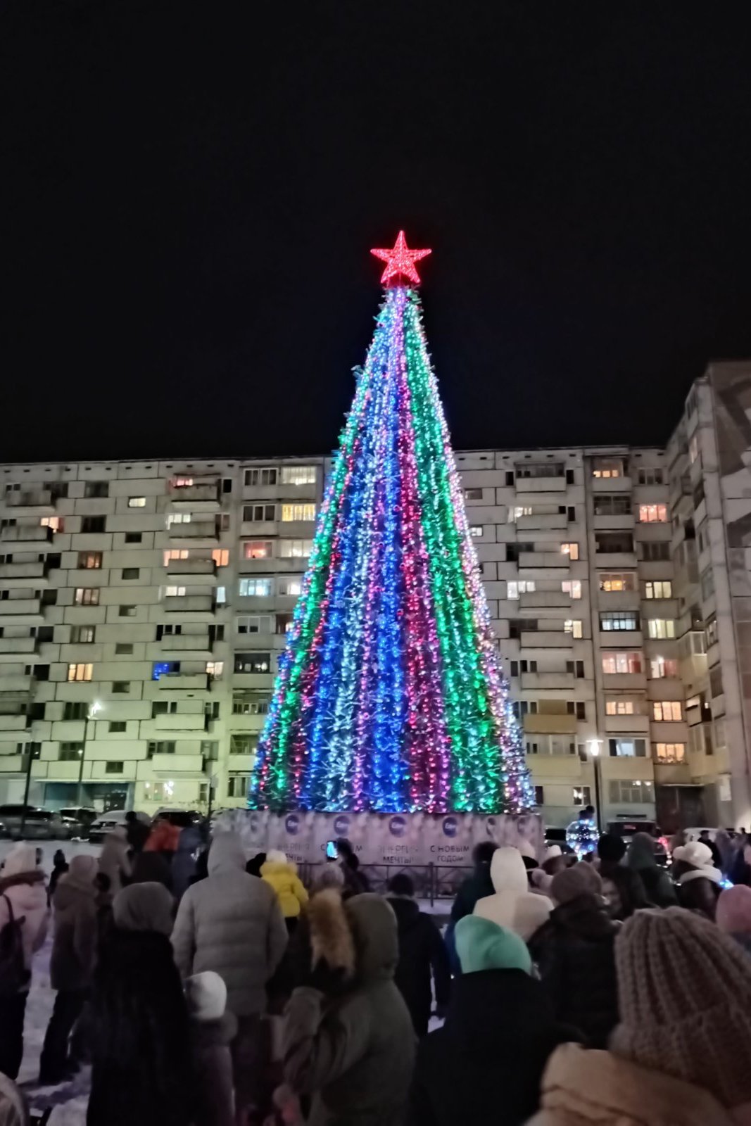 В Братске в День города новогодние елки зажглись во всех районах