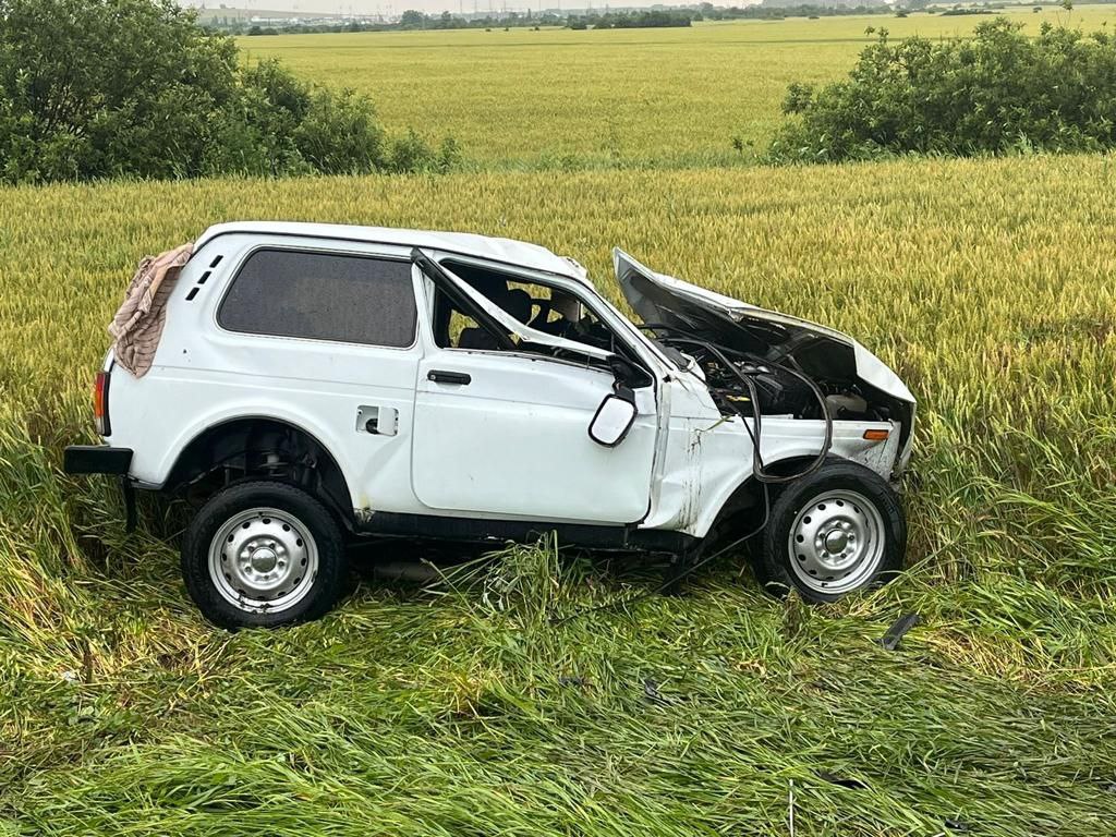 Кто чаще погибает в дтп водитель или пассажир