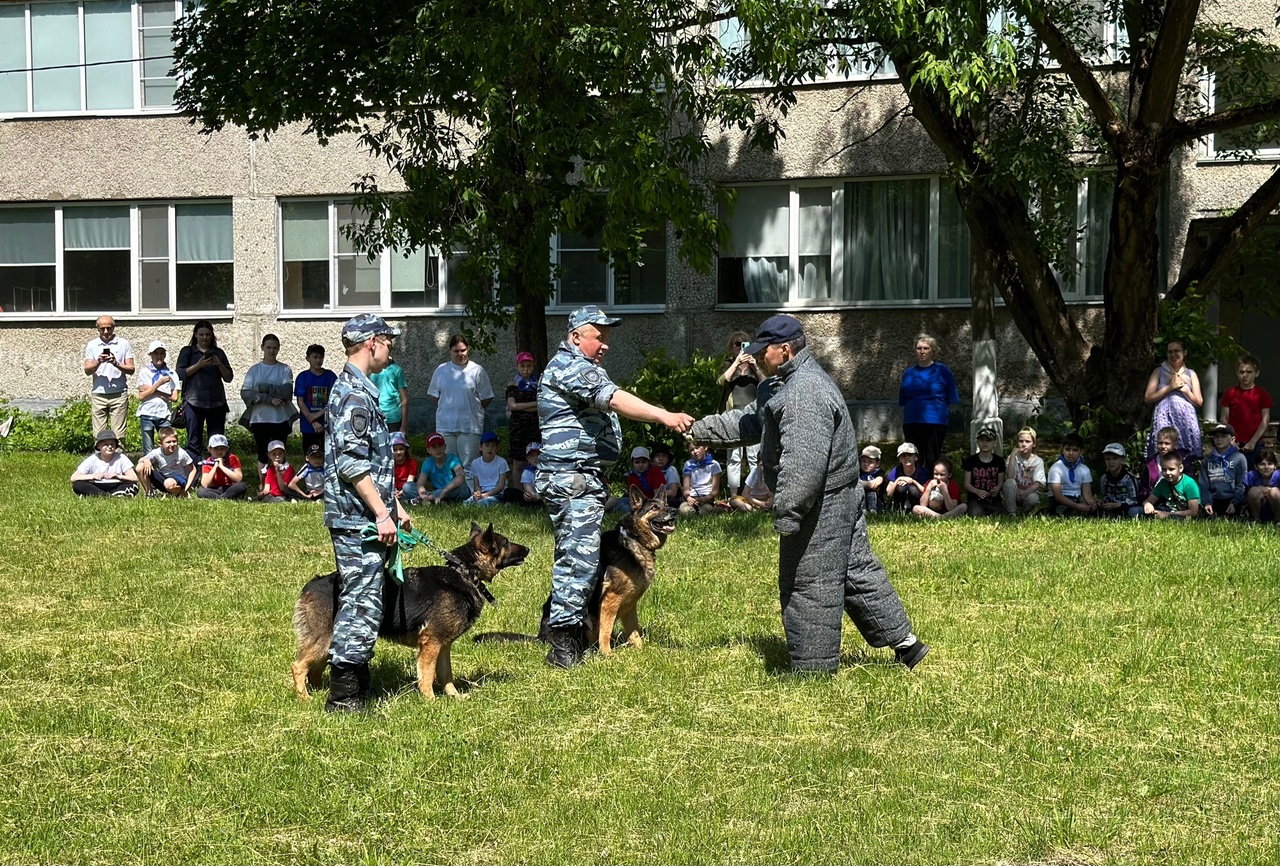 Красногорская полиция. Городской лагерь Красногорск 2023.