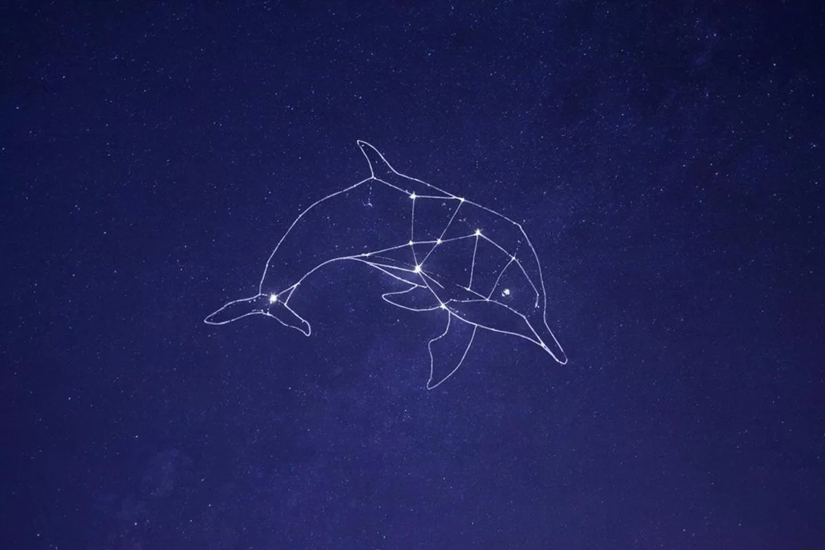 Новосибирский астрофотограф запечатлел редкую туманность «Голова Дельфина» в экстремальных условиях