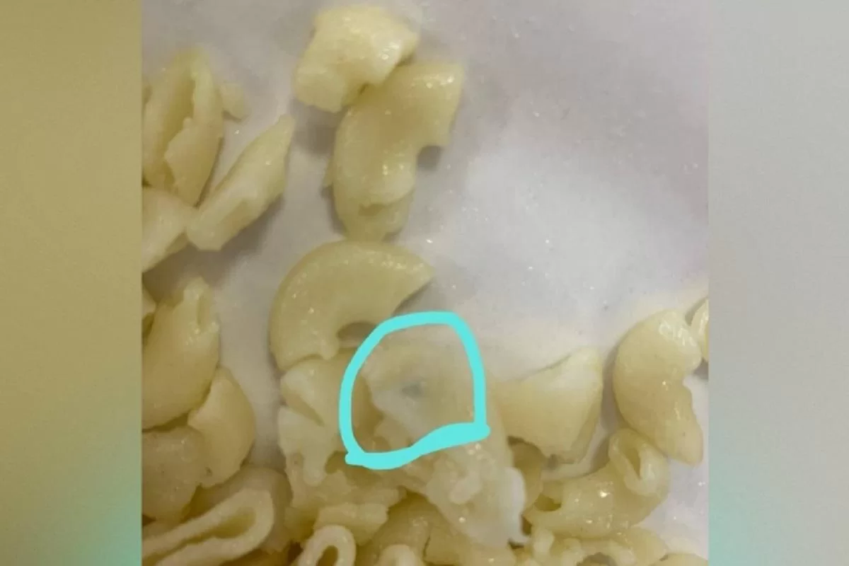 Челябинскую школу проверят из-за жалоб на еду с плесенью