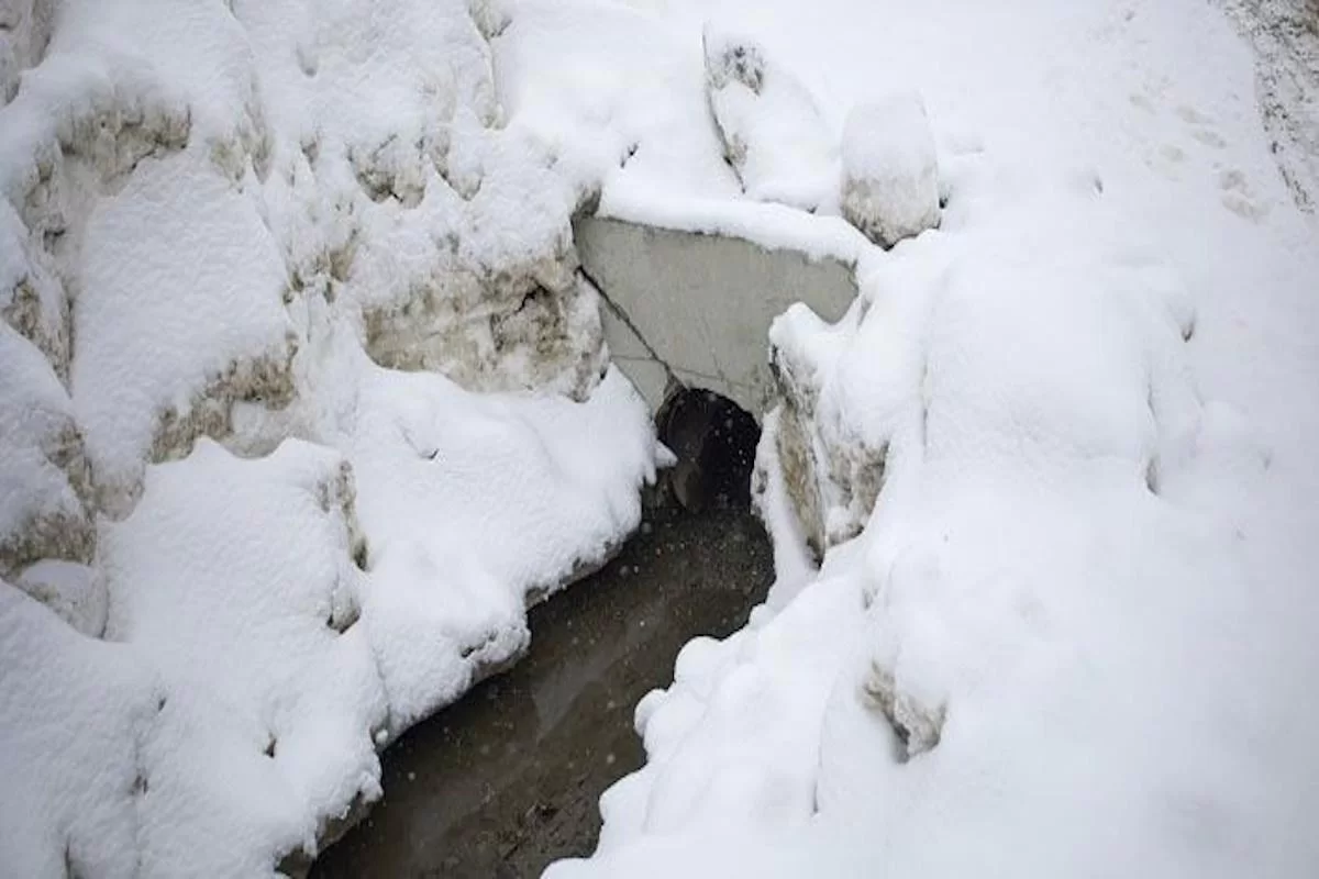 Александр Соколов потребовал временного закрытия кировского предприятия, отравляющего почву стоками