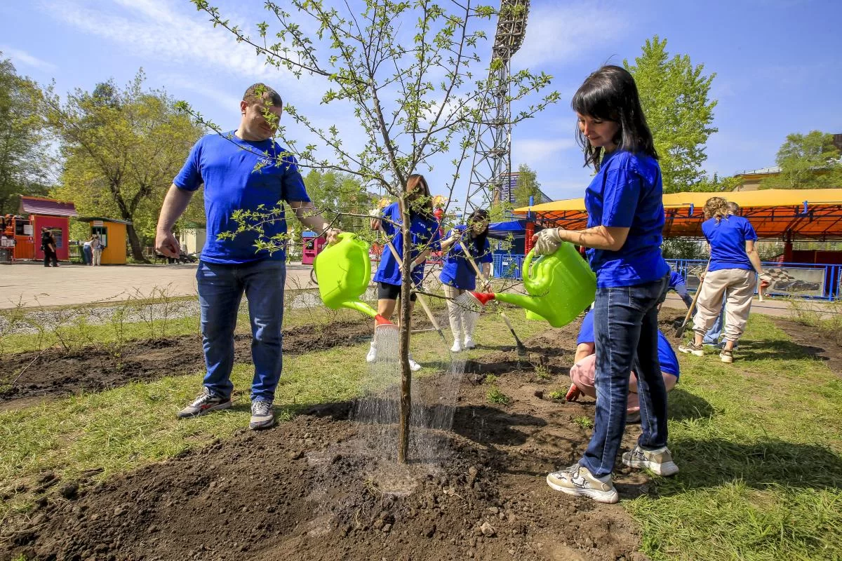 Мэр Максим Кудрявцев: 5 тысяч бархатцев и гераней высадят в парках Новосибирска к 9 Мая