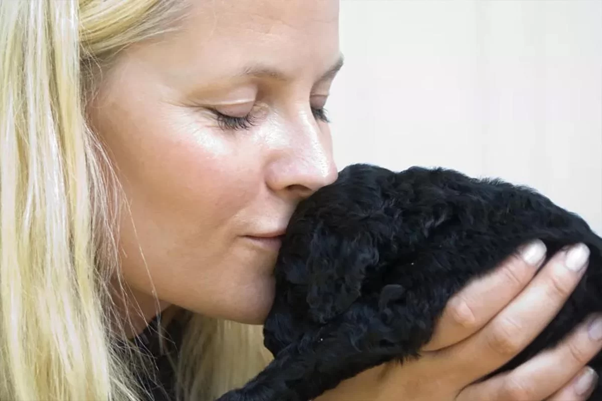 Большинство норвежцев не хотят, чтобы кронпринцесса стала королевой