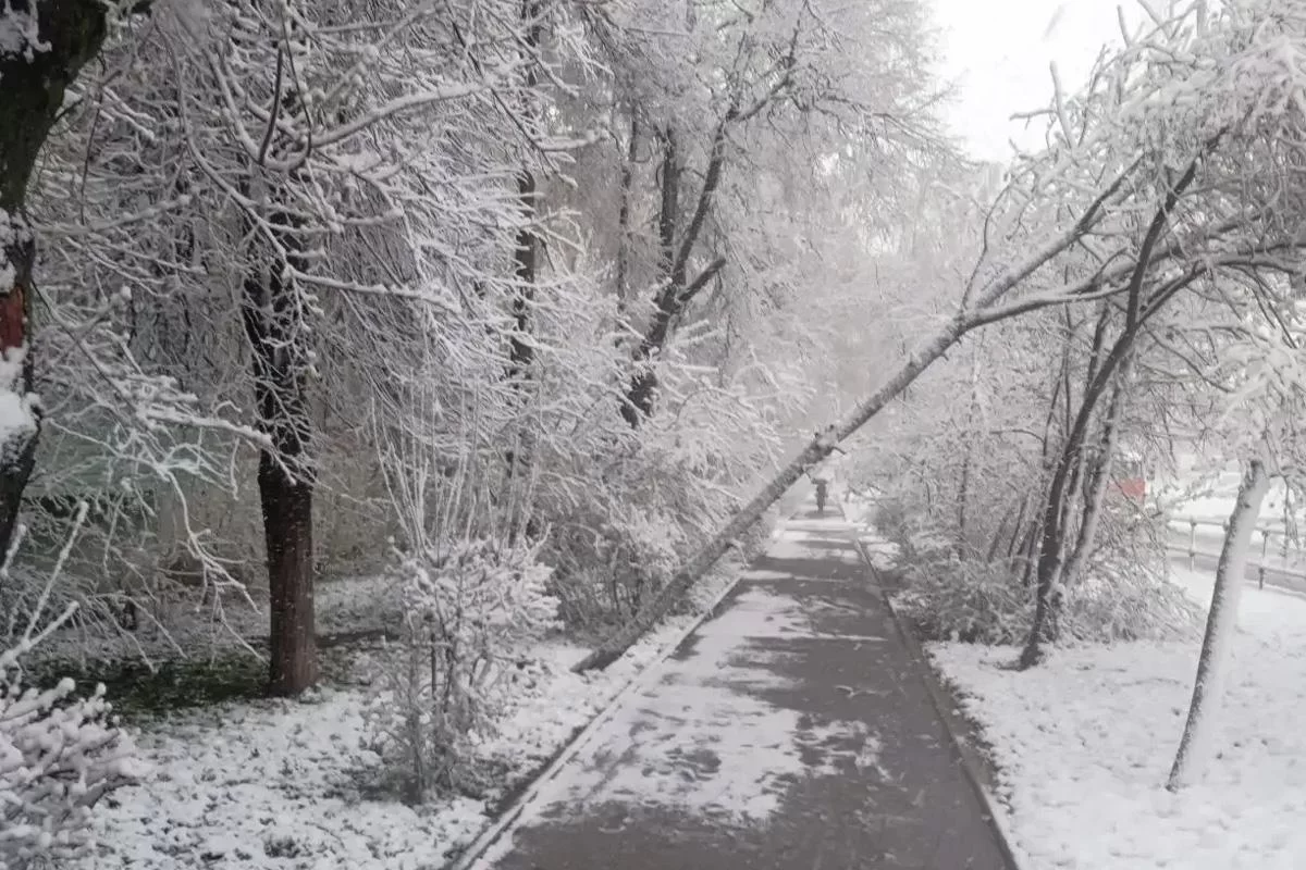 Коммунальные службы Зарайска переведены на усиленный режим работы после прошедшего снегопада