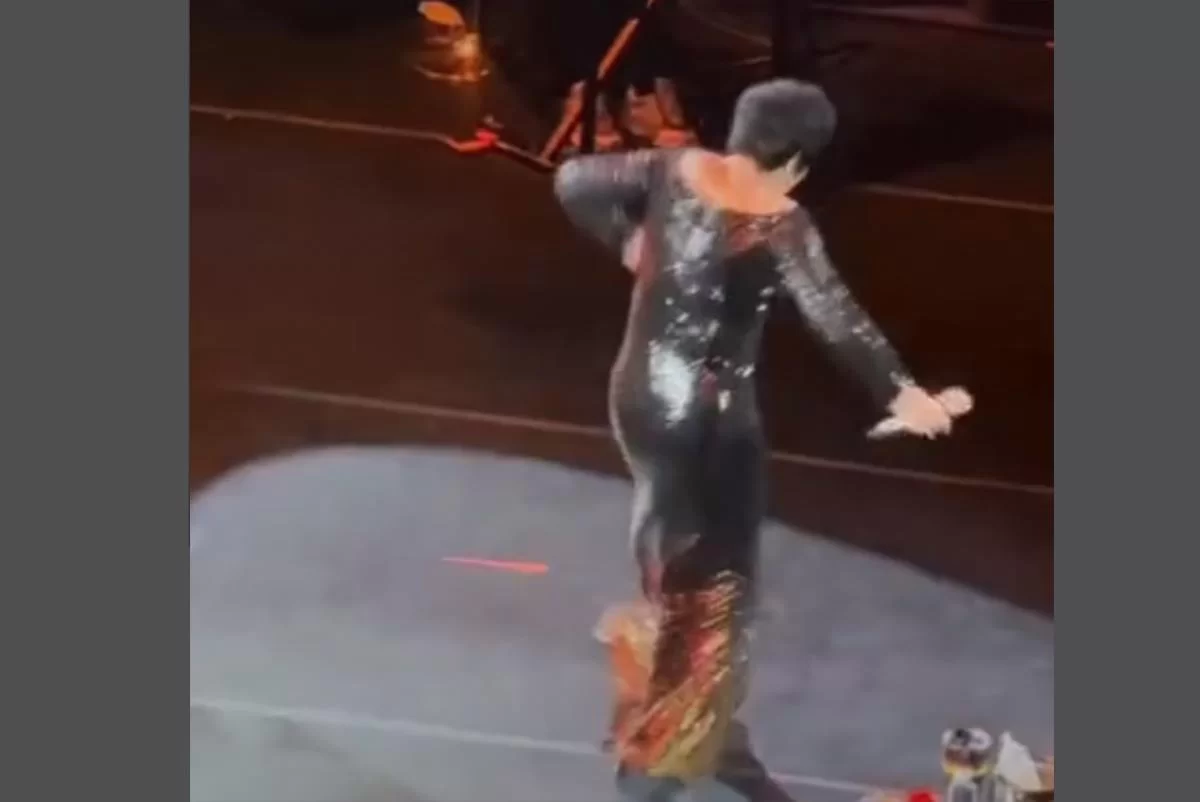 Лолита довела публику до истерики эпатажными танцами, и вот что об этом пишут