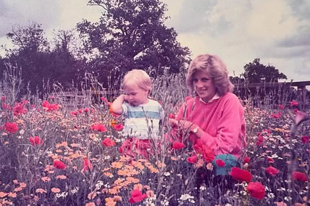 «Вспоминаю сегодня и каждый день»: Принц Уильям растопил сердца фанатов редким кадром с леди Ди