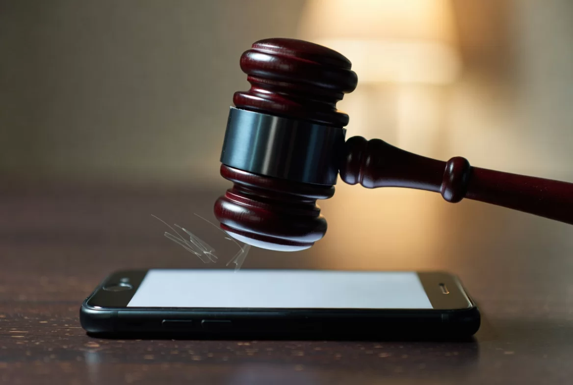 Нижегородке выписали штраф за «экстремистскую символику» на индийских воротах