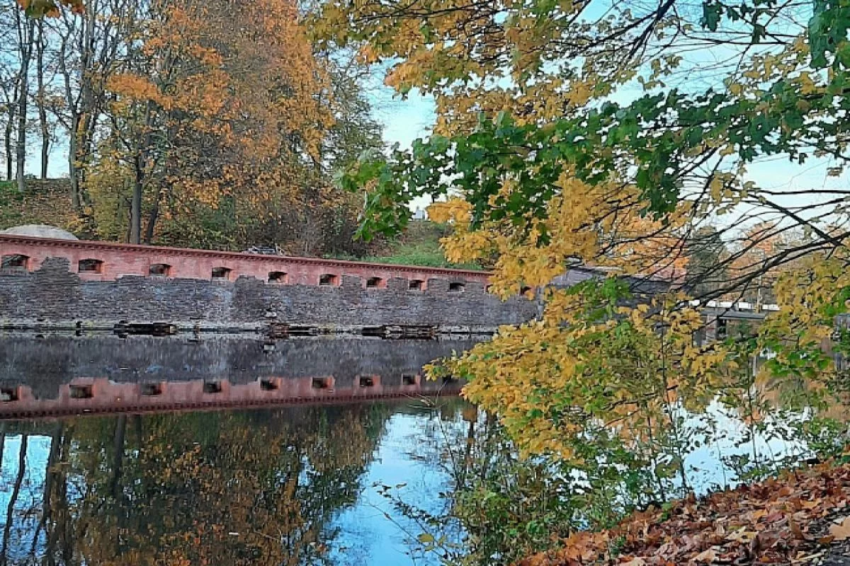 Создание современной инфраструктуры в Южном парке Калининграда начинается с работы археологов